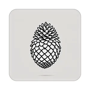 زیر لیوانی کاکتی طرح میوه مدل mp22603