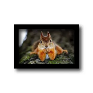 تابلو مدل سنجاب شیطون کد km-73