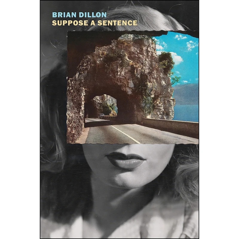 کتاب Suppose a Sentence اثر Brian Dillon انتشارات New York Review Books