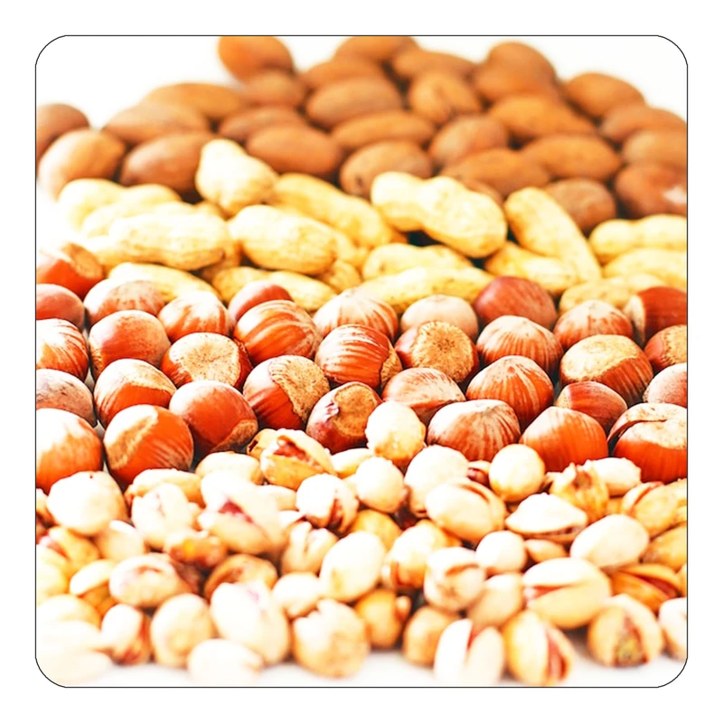 مگنت کاکتی طرح میوه مدل mp22597