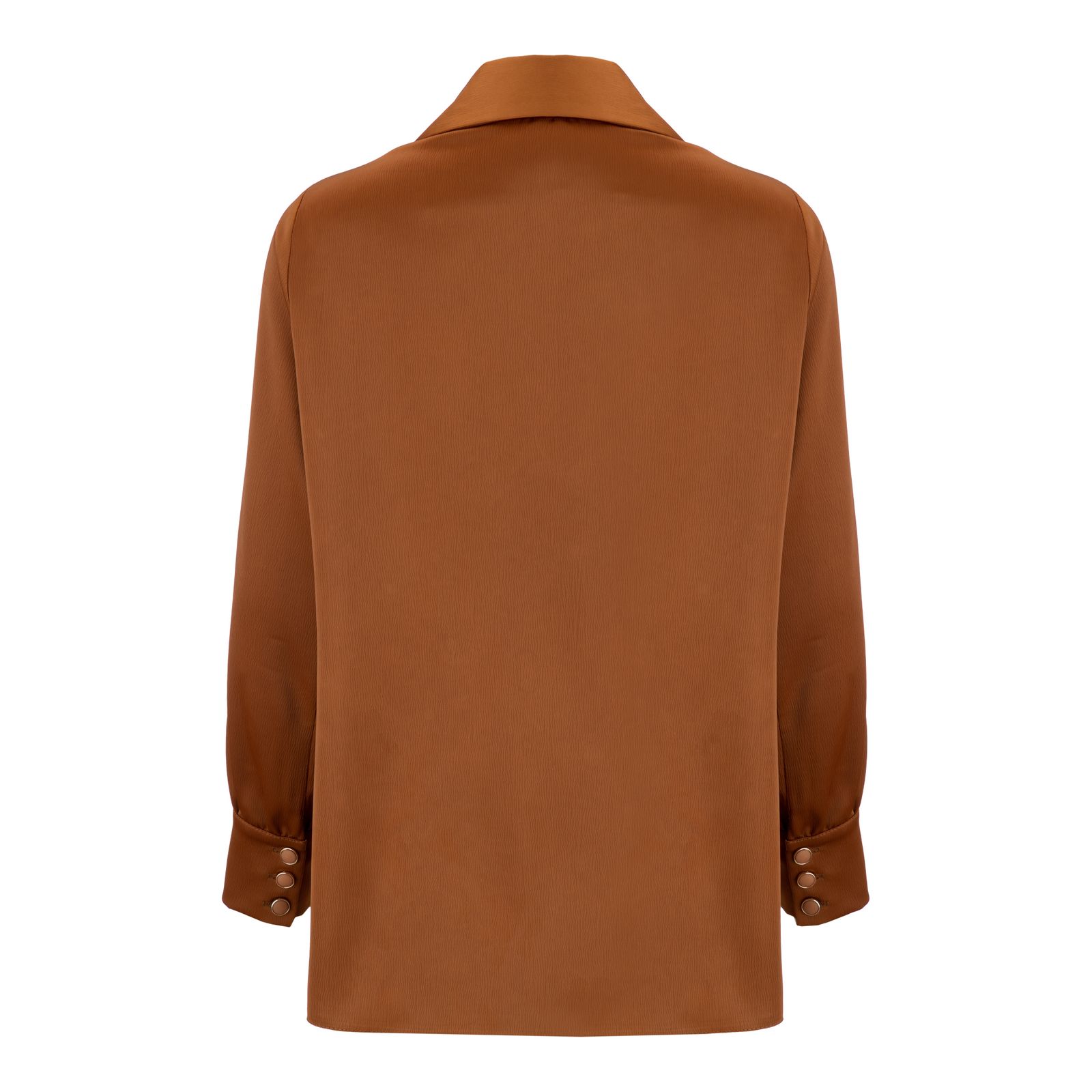 شومیز آستین بلند زنانه السانا مدل ریماس کد 172501 - - 76