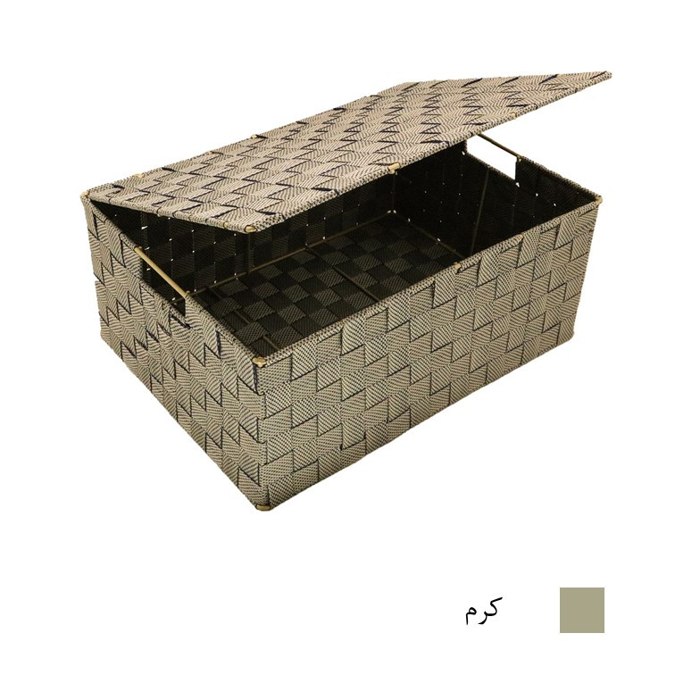 باکس نظم دهنده پگاه صنعت مدل B156