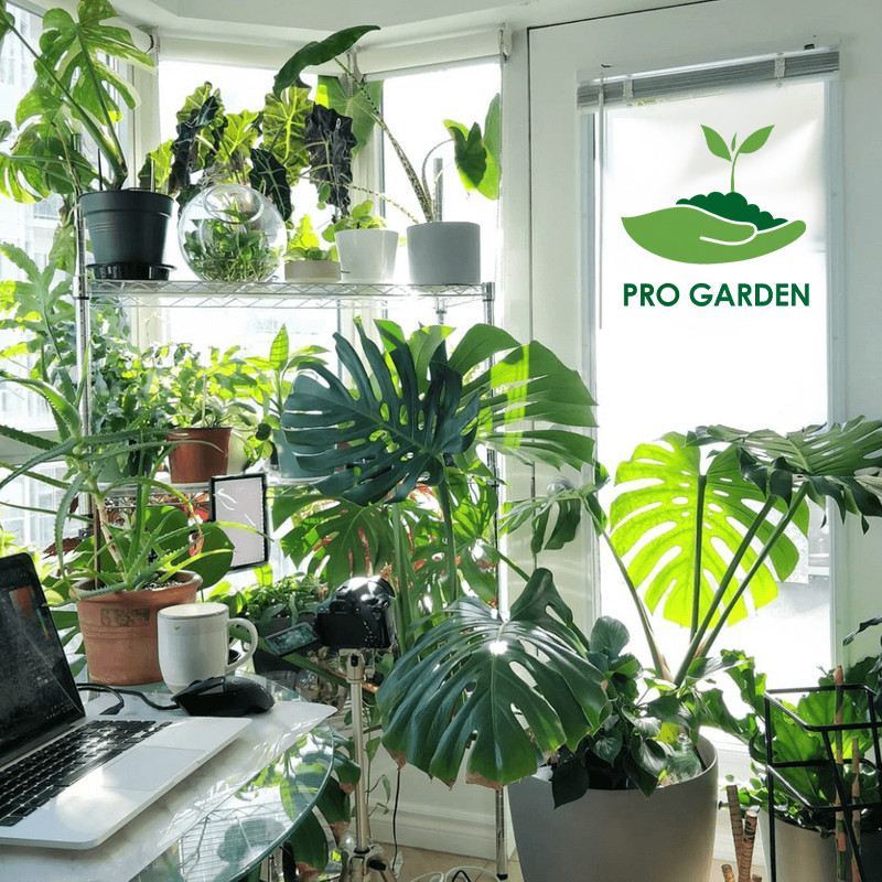 کود کلات آهن 6 درصد مایع پروگاردن مدل اورتو اورتو وزن 80 گرم کود کلات آهن 6 درصد مایع پروگاردن مدل اورتو اورتو وزن 80 گرم