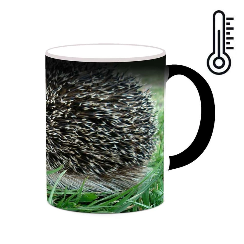 ماگ حرارتی کاکتی مدل جوجه تیغی کد mgh19232