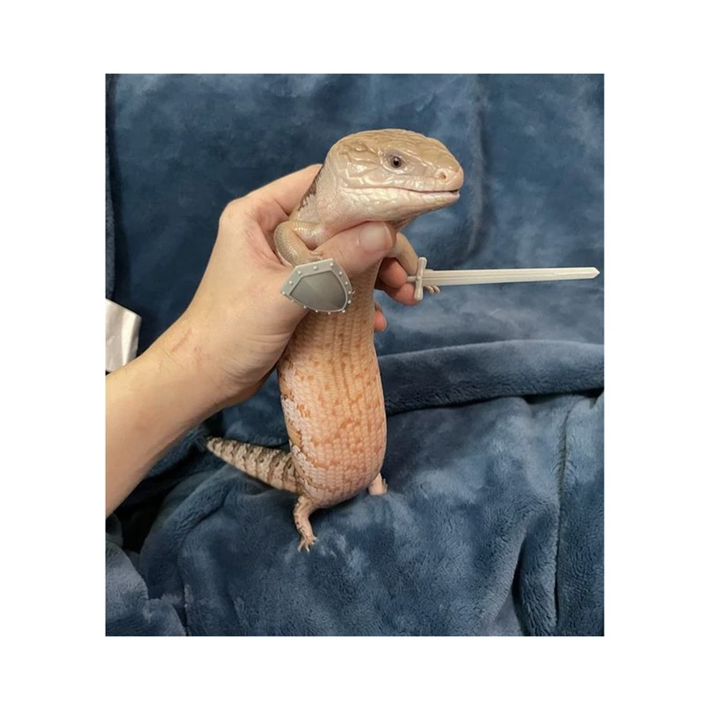 استیکر لپ تاپ و موبایل مدل بازی طرح الدن رینگ Elden Ring کد 1320