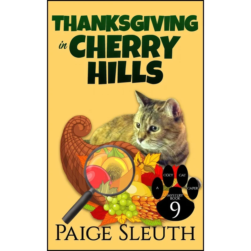 کتاب Thanksgiving in Cherry Hills  اثر Paige Sleuth انتشارات تازه ها