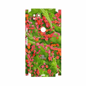 MAHOOT Atom Universe 3-FullSkin Cover Sticker for Google Pixel 2