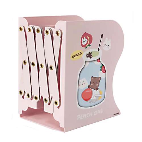 نگهدارنده کتاب مدل فانتزی 