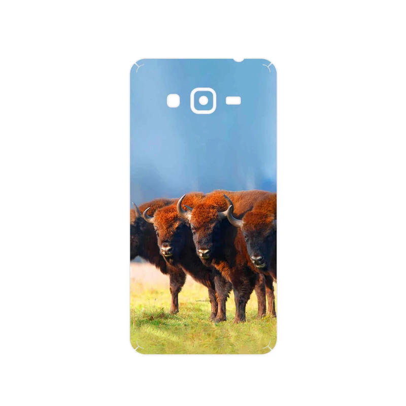 برچسب پوششی ماهوت مدل Buffalo مناسب برای گوشی موبایل سامسونگ Galaxy Grand Prime