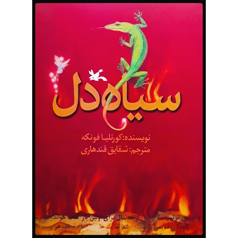 كتاب سياه‌دل اثر كورنليا فونكه انتشارات کانون پرورش فکری کودکان و نوجوان