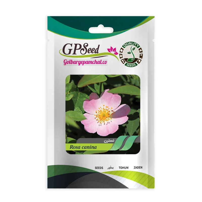 بذر گیاه دارویی نسترن گلبرگ پامچال کد GPF-340