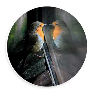  دیوارکوب طرح پرنده پشت پنجره مدل wtb722