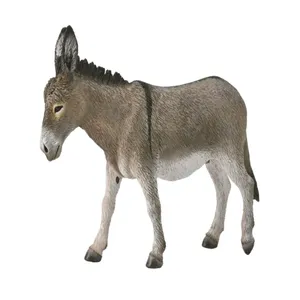 فیگور مدل الاغ