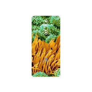 MAHOOT Atom Universe 6 Cover Sticker for Nokia 8