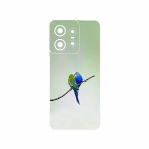 MAHOOT Lovebird Cover Sticker for Motorola Edge 50 Pro