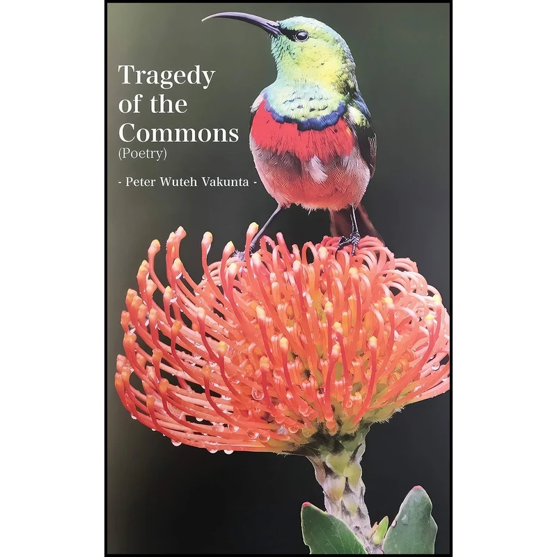کتاب Tragedy of the Commons اثر Peter Wuteh Vakunta انتشارات Langaa RPCIG