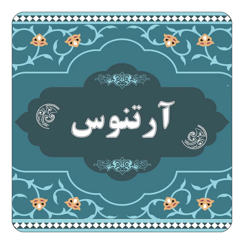 مگنت کاکتی مدل اسم آرتنوس کد mn68095