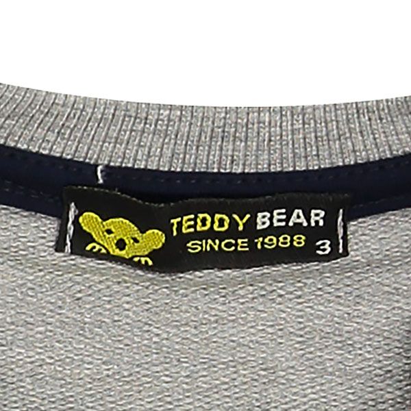 ست سویشرت و شلوار پسرانه خرس کوچولو طرح Teddy Bear کد 212 -  - 6