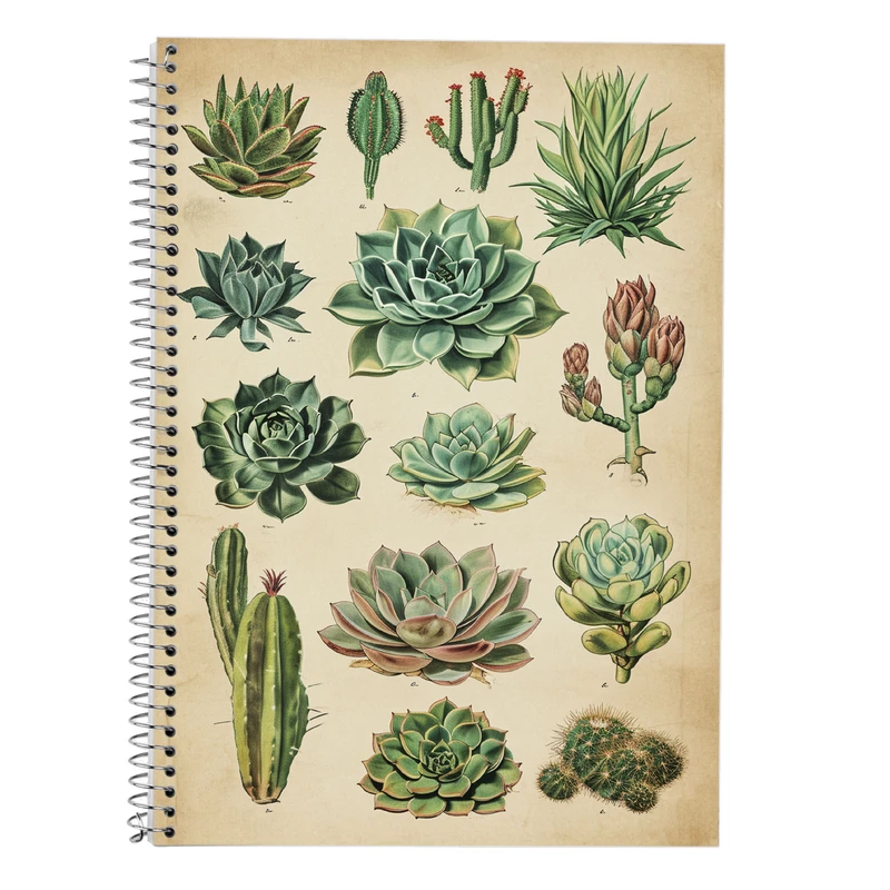 دفتر زبان 50 برگ مدوپد مدل دو خط طرح گل کد DF13769