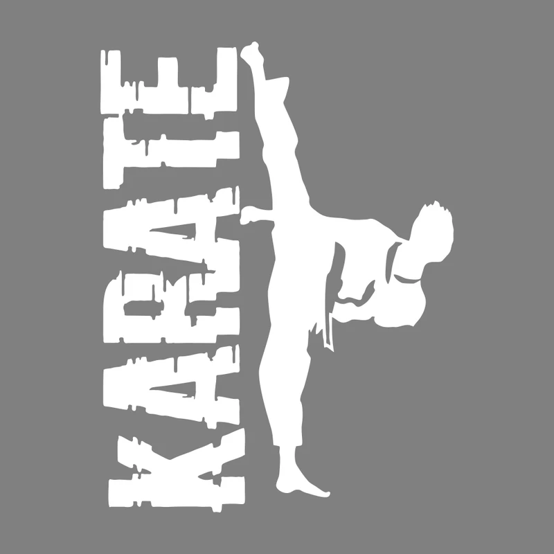 برچسب بدنه خودرو طرح کاراته کد MT-W361