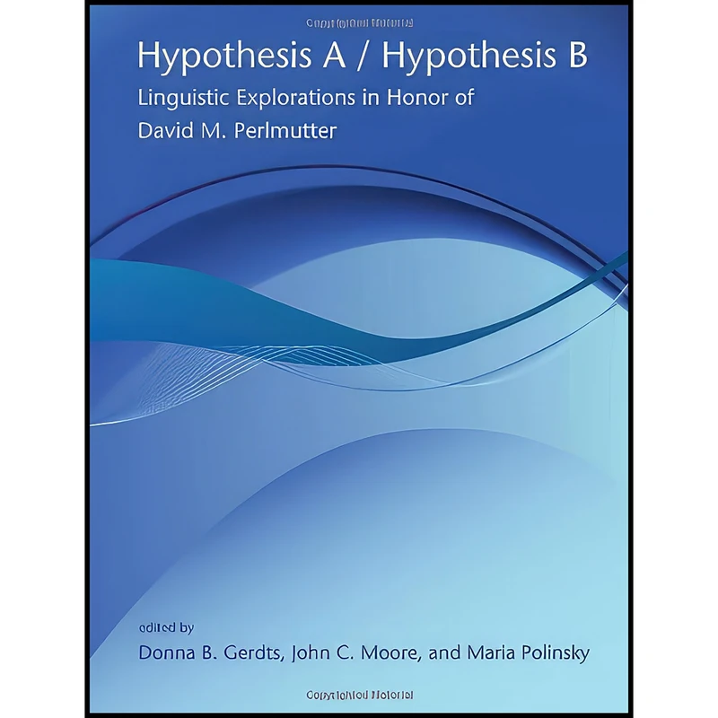 کتاب Hypothesis A/Hypothesis B اثر جمعي از نويسندگان انتشارات The MIT Press