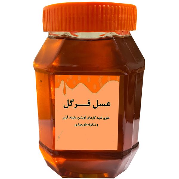 عسل شهد فرگل -1 کیلوگرم عسل شهد فرگل -1 کیلوگرم