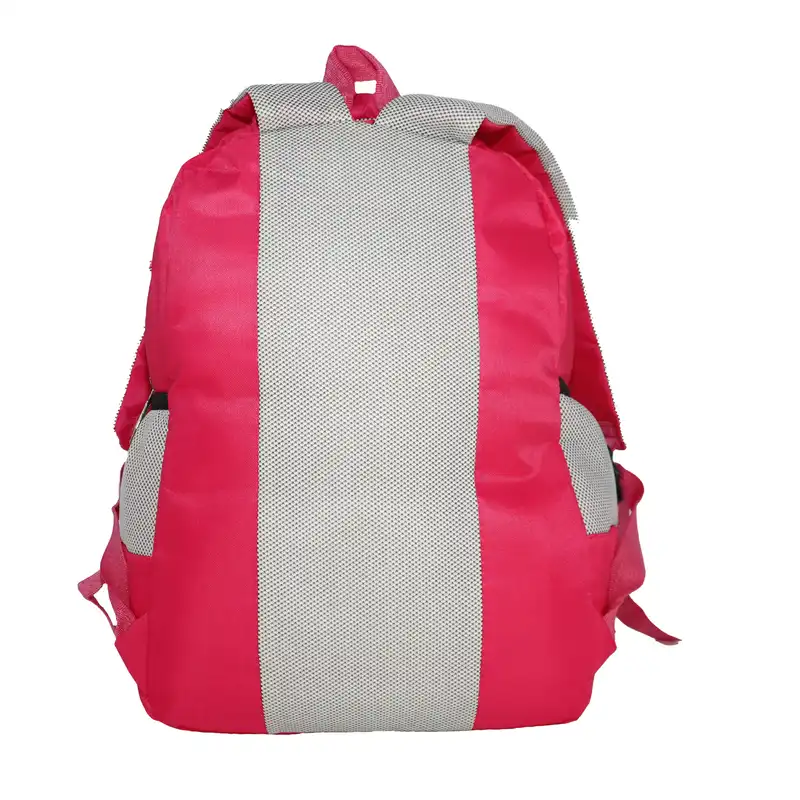 کوله پشتی مدل دخترانه خرسی کد E0058 به همراه جامدادی