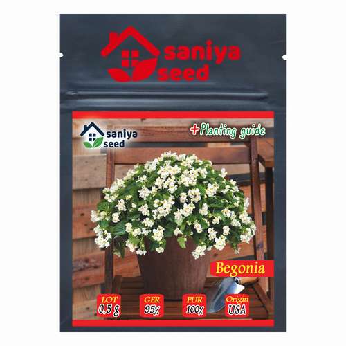 بذر گل بگونیا عروس سفید سانیا سید مدل S8