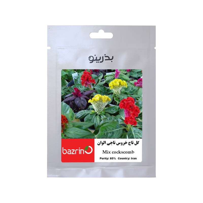 بذر گل تاج خروس تاجی الوان بذرینو کد B-027