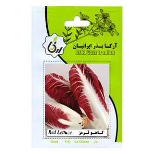 بذر کاهو قرمز آرکا بذر ایرانیان کد 18-ARK