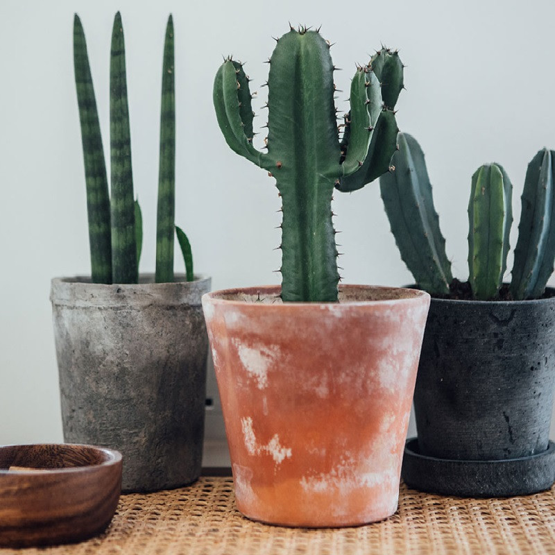 کود مایع ریشه زایی و امینو اسید کد 01 حجم 120 میلی لیتر بسته 2 عددی