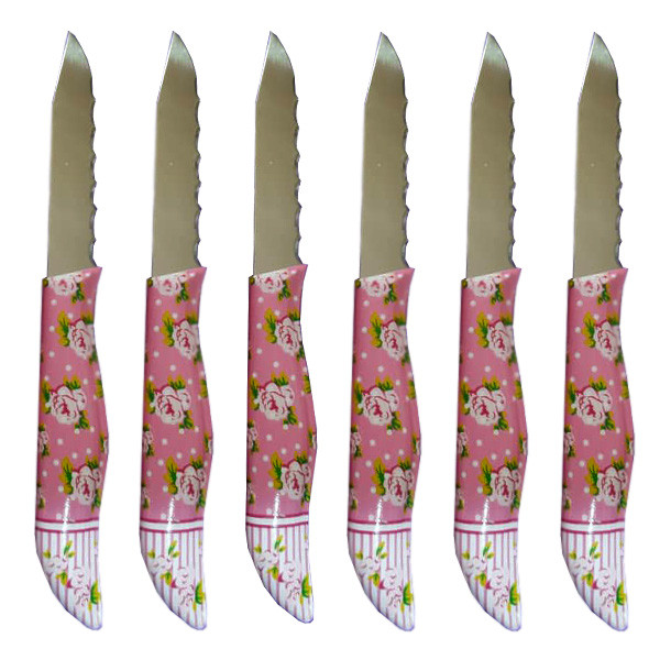 کارد میوه خوری مدل 1024 مجموعه 6 عددی
