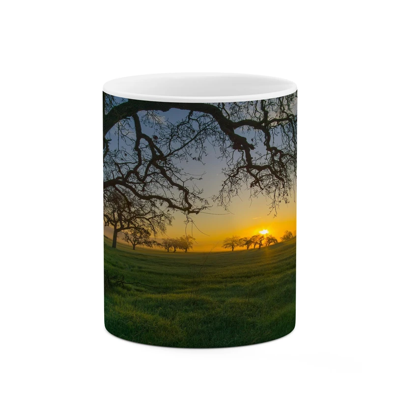 ماگ کاکتی مدل منظره کد mgh17457