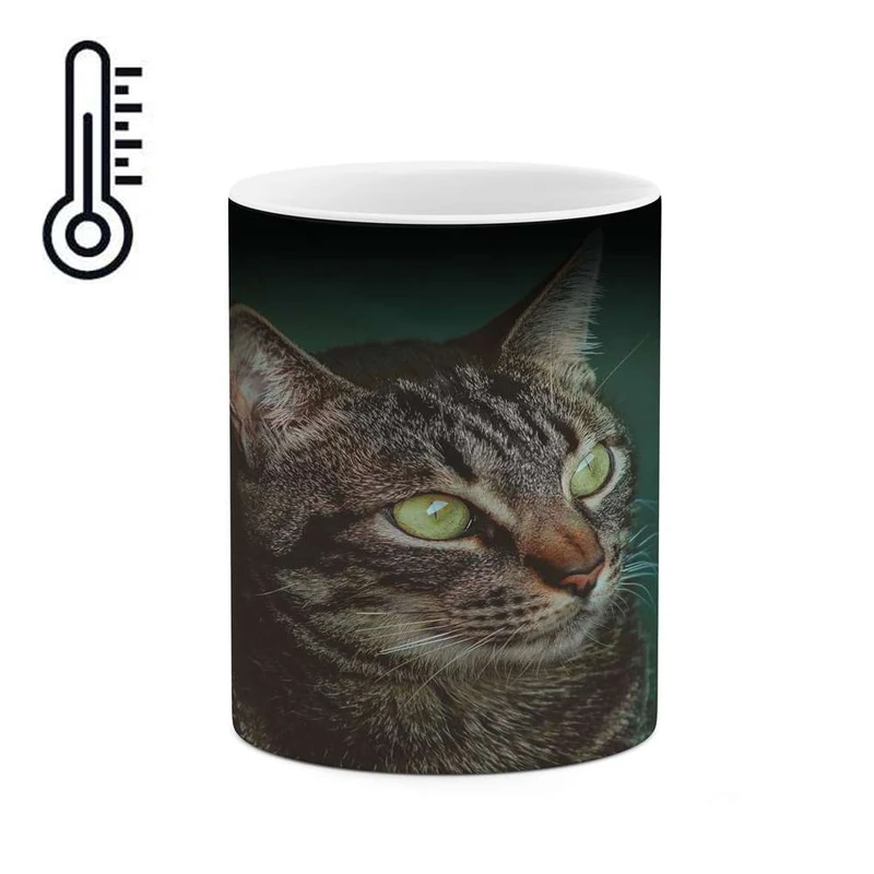 ماگ حرارتی کاکتی مدل گربه کد mgh16226