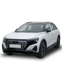 خودرو آئودی مدل Q5 e-tron بلک پکیج دنده اتوماتیک سال 2024