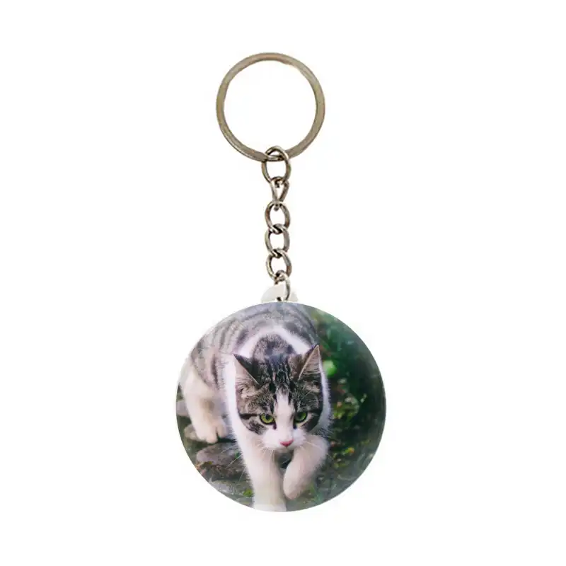 جاکلیدی عرش مدل فانتزی گربه کد Asj6079