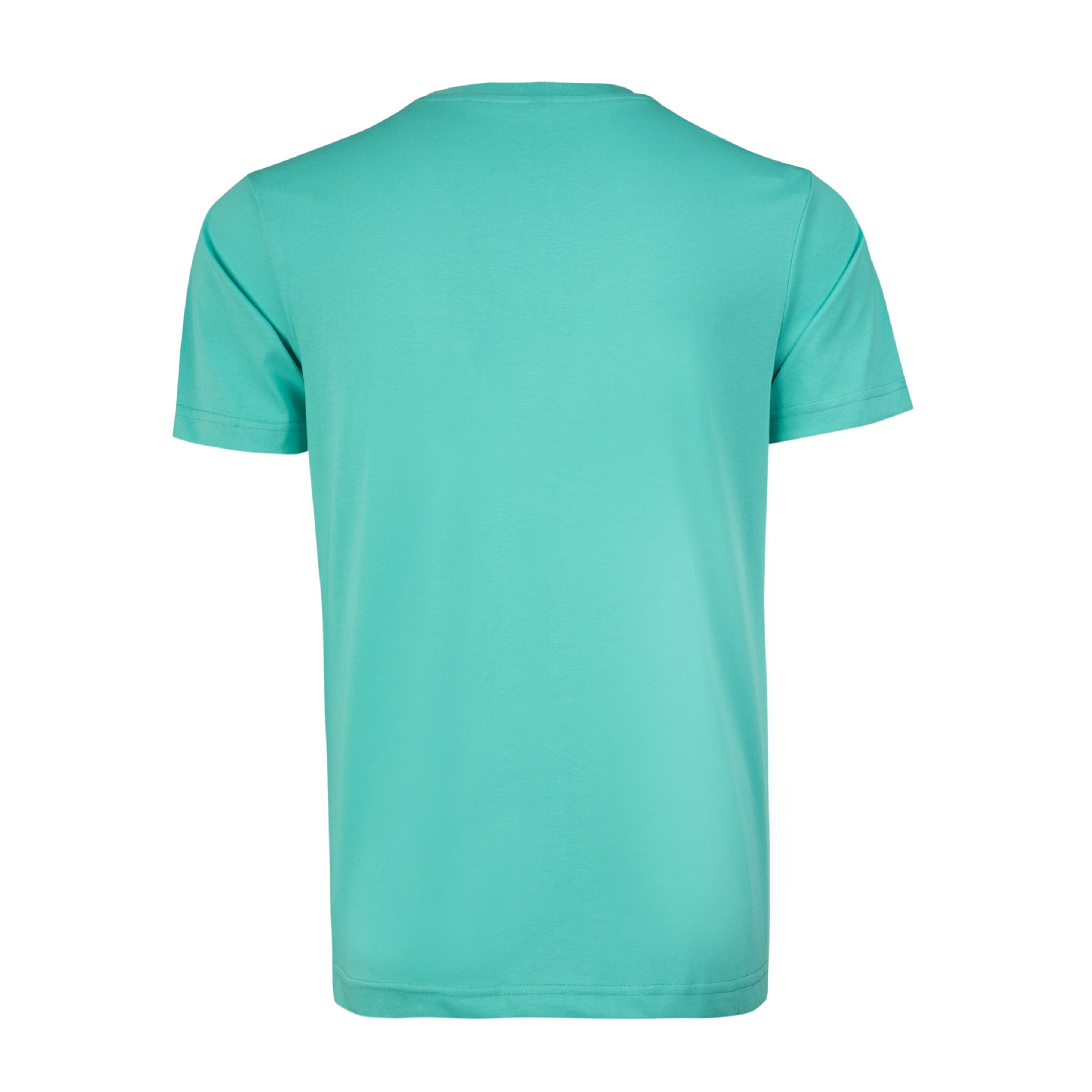 تی شرت آستین کوتاه مردانه جین وست مدل یقه گرد کد 1551256 رنگ فیروزه‌ای -  - 2