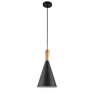 چراغ آویز یک شعله چشمه نور کد SD9183/1