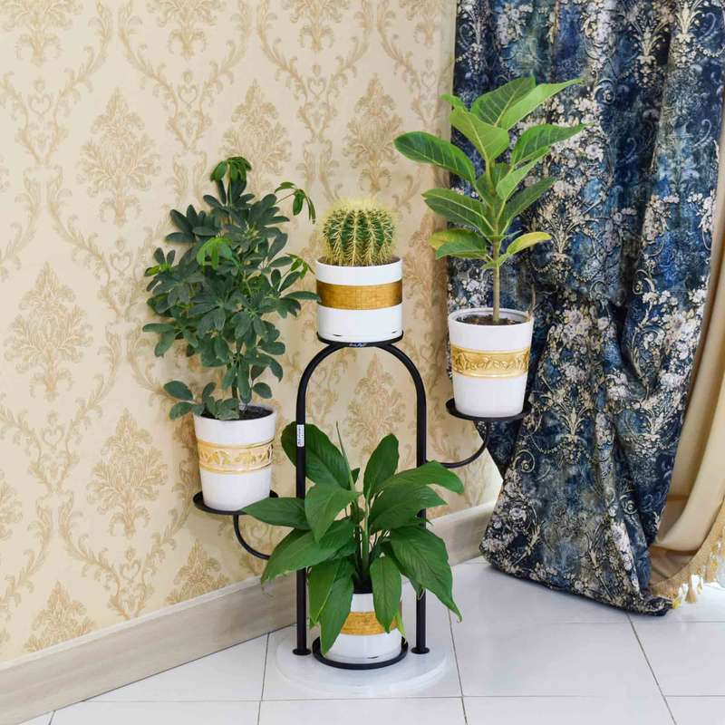 استند گلدان دکومرآت مدل کاکتوس 4 استند گلدان دکومرآت مدل کاکتوس 4