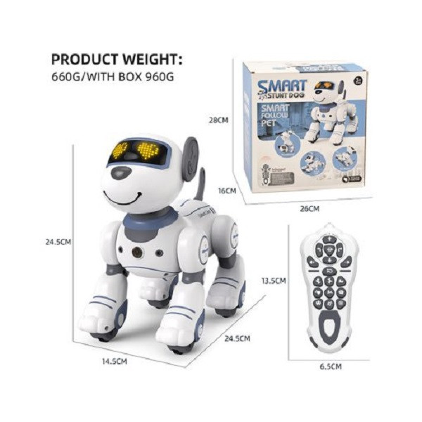 ربات کنترلی مدل سگ