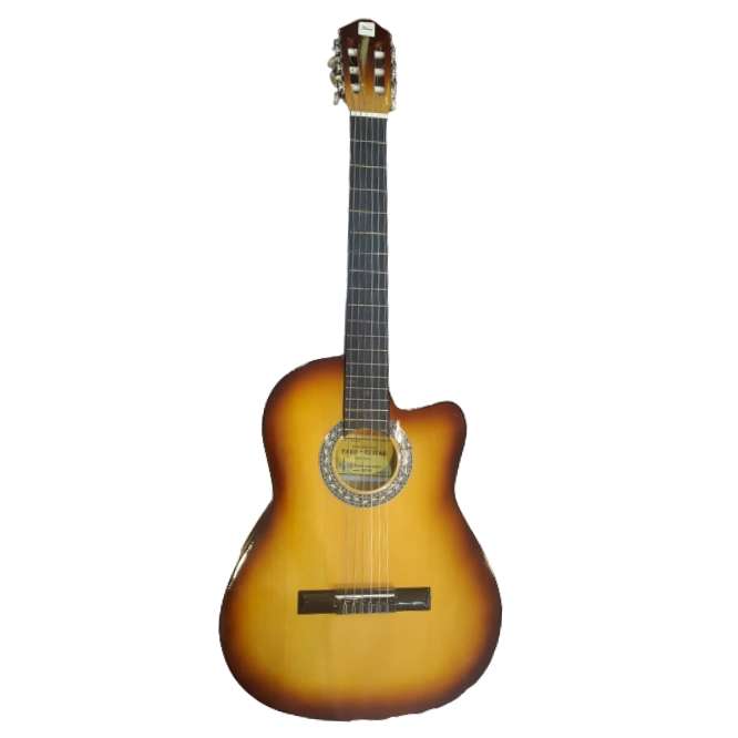 گیتار مدل  pmax ava کد 890