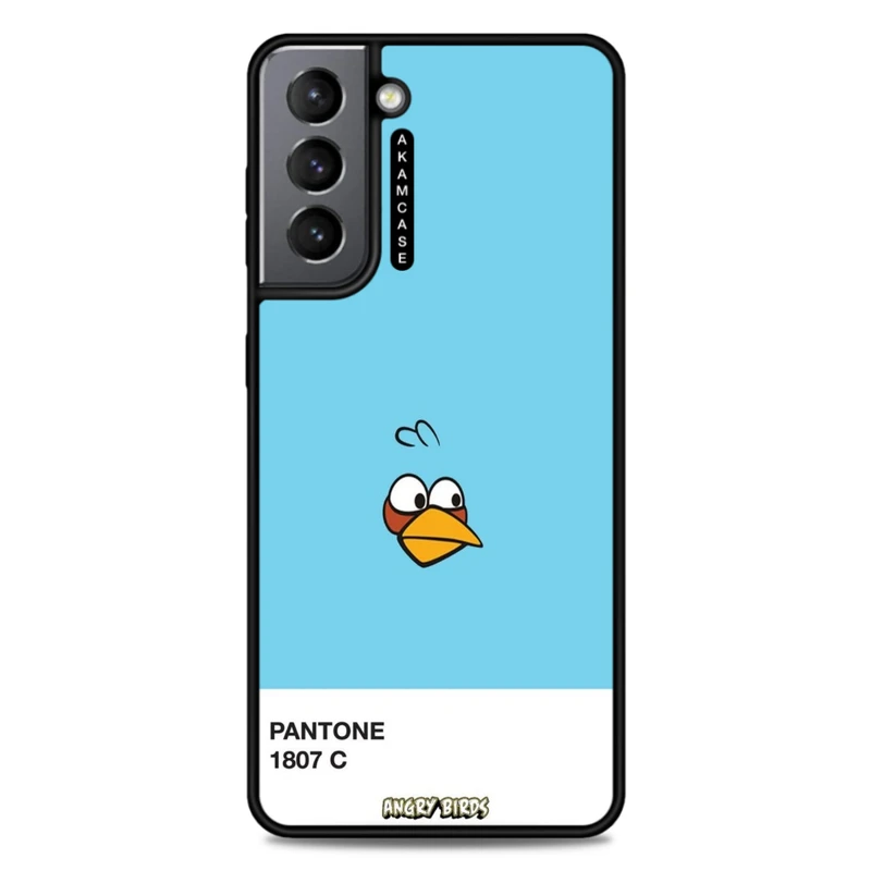 کاور آکام مدل AMC-WSGS21-ANGRY BIRDS10 مناسب برای گوشی موبایل سامسونگ Galaxy S21