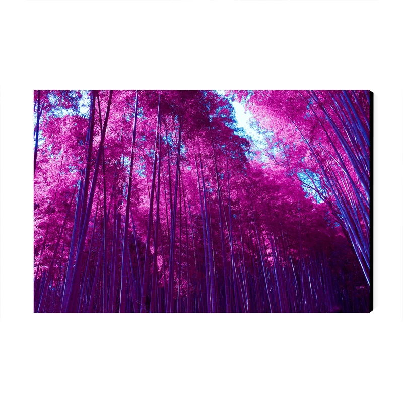 تابلو شاسی عرش طرح گردشگری ژاپن مدل جنگل بامبو آراشیاما کد As6138