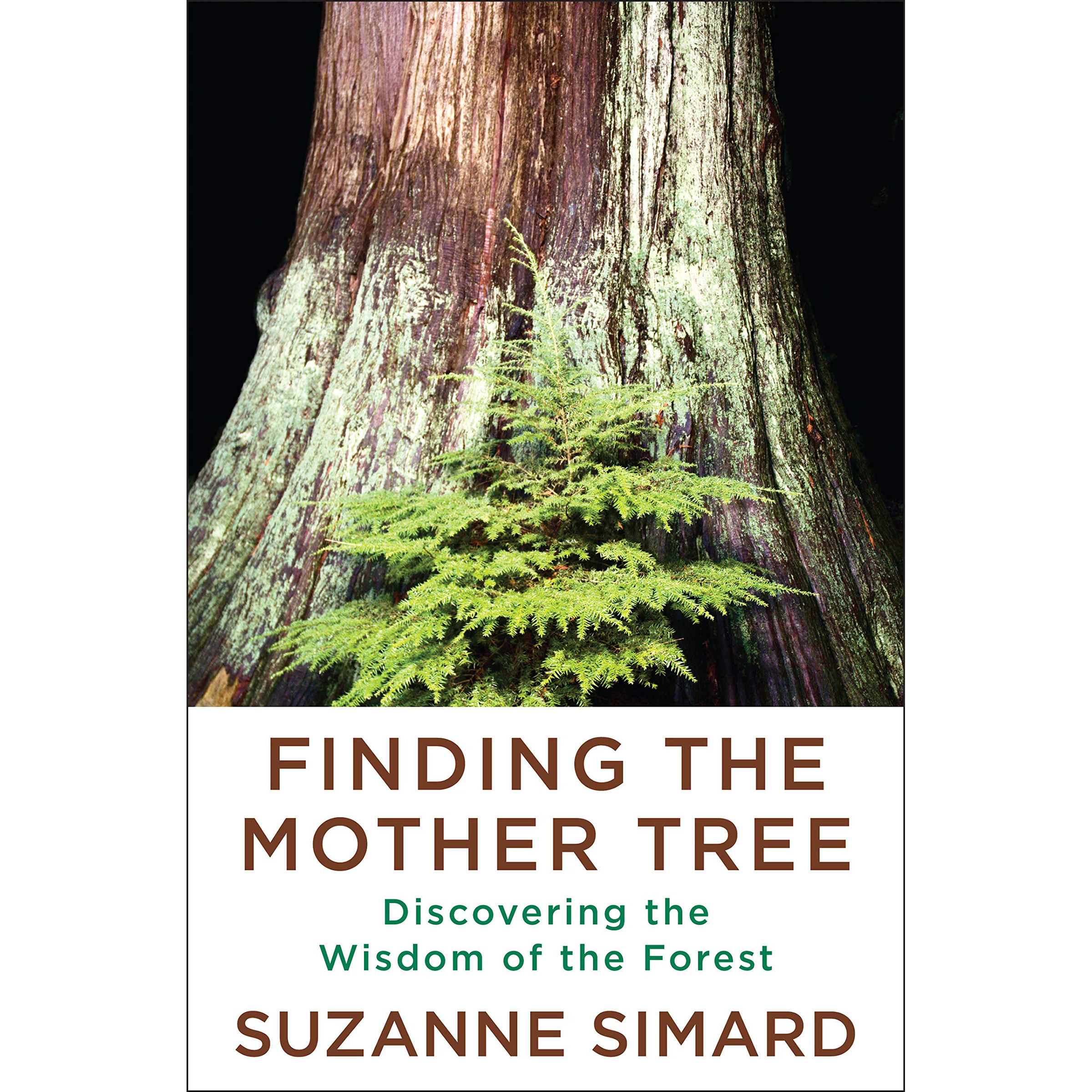 نقد و بررسی کتاب Finding the Mother Tree اثر Suzanne Simard انتشارات Knopf توسط خریداران