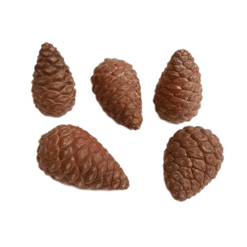 میوه تزیینی مدل کاج مینیاتوری بسته 5 عددی