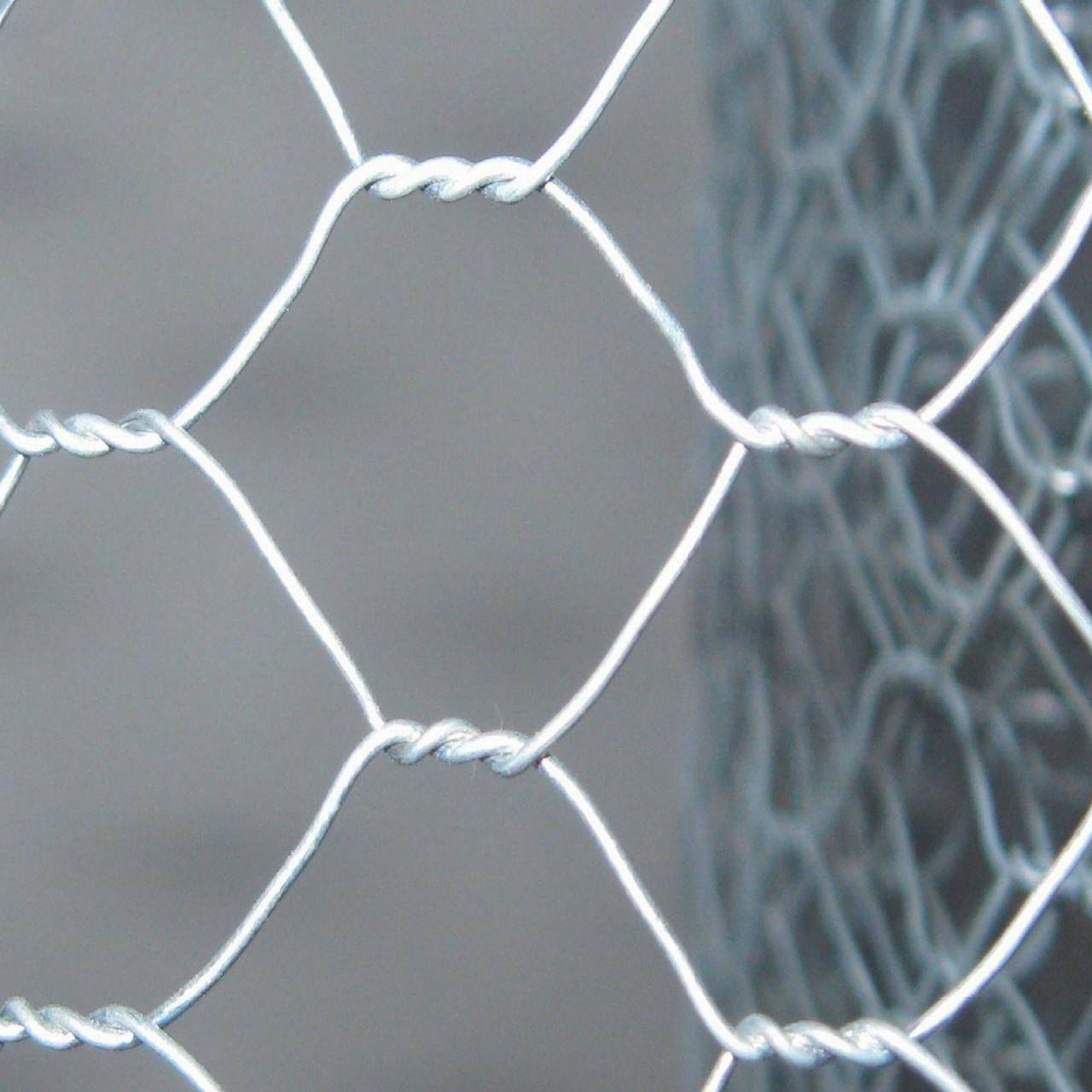 توری حصاری مدل Z21810 طول 10 متر توری حصاری مدل Z21810 طول 10 متر