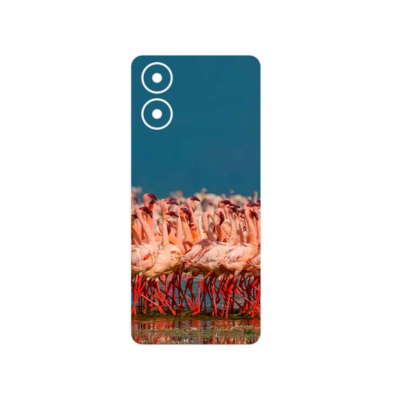 برچسب پوششی ماهوت مدل Flamingo مناسب برای گوشی موبایل موتورولا Moto G04s