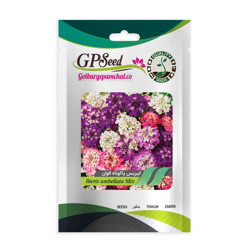 بذر گل ایبریس پاکوتاه الوان گلبرگ پامچال کد GPF-294