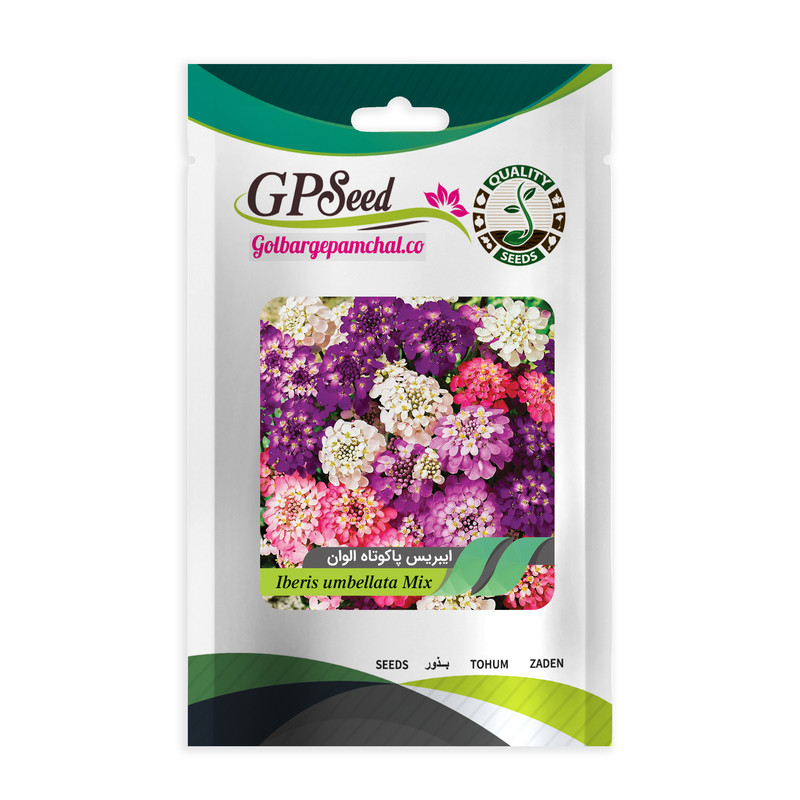 بذر گل ایبریس پاکوتاه الوان گلبرگ پامچال کد GPF-294