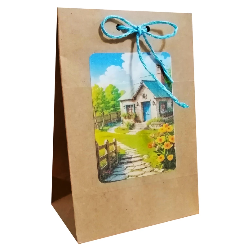 پاکت هدیه مدل نوروز و سال نو مجموعه دو عددی